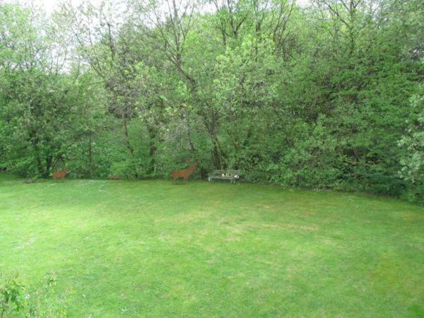 Ferienwohnung An Der Lay Wohnung 2 Bach  المظهر الخارجي الصورة